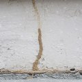 Termite-Structures-101-What-Is-a-Mud-Tube-Main
